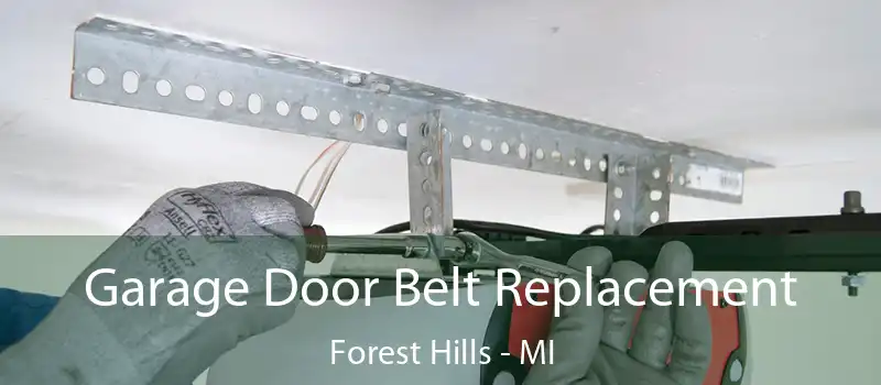  Garage Door Belt Replacement Forest Hills - MI